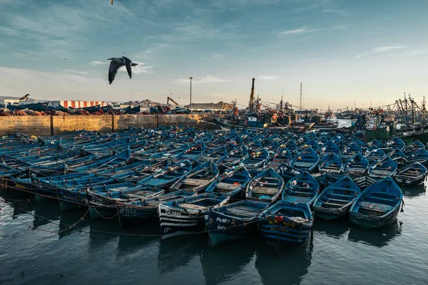Εσαουίρα Μαρόκο Ιανουαρίου 2017 Πολλά Μπλε Αλιευτικών Σκαφών Από Λιμάνι — Φωτογραφία Αρχείου