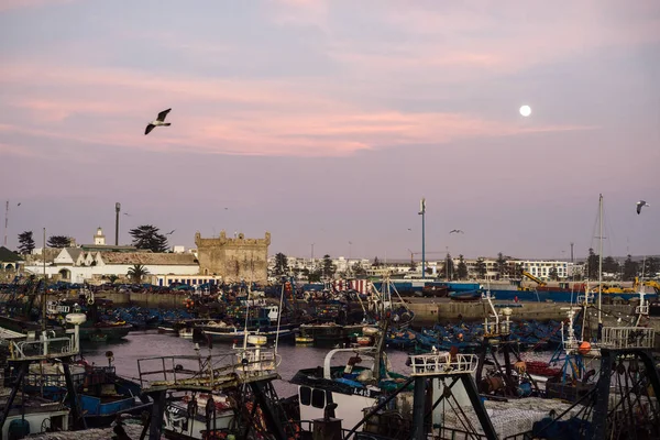 Essaouira Morocco Janeiro 2017 Lotes Barcos Pesca Azuis Porto Essaouira — Fotografia de Stock