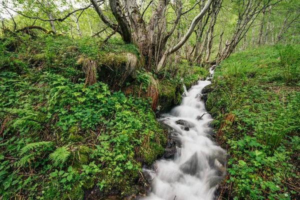 Geiranger Fjordutsikt Norge — Stockfoto