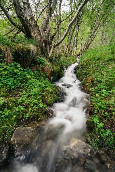 Geiranger Fjordblick Norwegen — Stockfoto