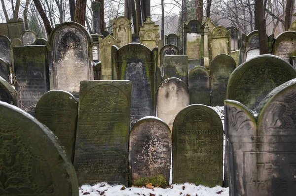 Варшава Польша Января 2015 Надгробия Историческом Еврейском Кладбище Cmentarz Zydowki — стоковое фото