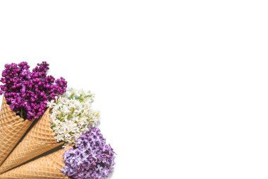 Beyaz arka plan üzerinde izole renkli eflatun çiçekli dondurma külah. üstten görünüm. düz lay