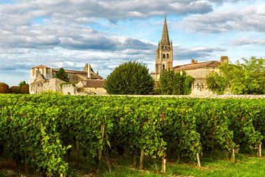 Bordeaux üzüm bağları Saint Emilion Aquitaine bölgesi, Fransa güneşli güneşli manzara