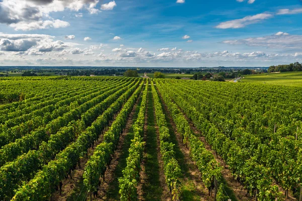 Bordeaux Wijnbergen Mooie Landschap Van Saint Emilion Wijngaard Frankrijk Zonnige — Stockfoto