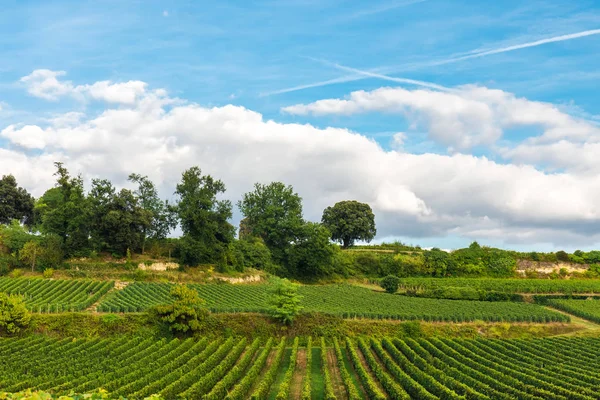 Wijngaarden Van Bordeaux Prachtige Landschap Van Saint Emilion Wijngaard Frankrijk — Stockfoto