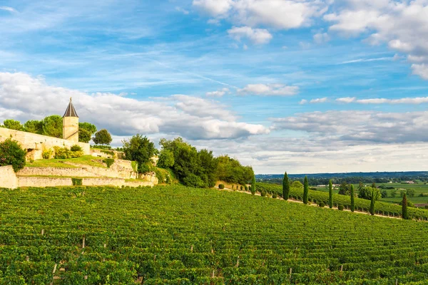 Wijngaarden Van Saint Emilion Bordeaux Wijngaarden Frankrijk Een Zonnige Dag — Stockfoto