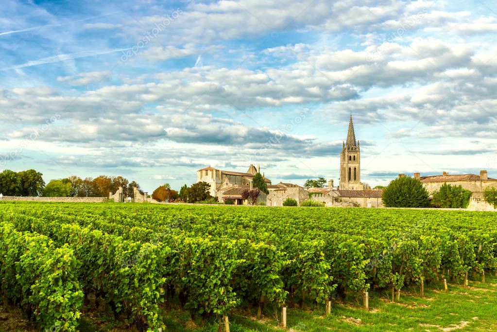 Vineyards of Saint Emilion, Bordeaux Wineyards in France in a sunny day