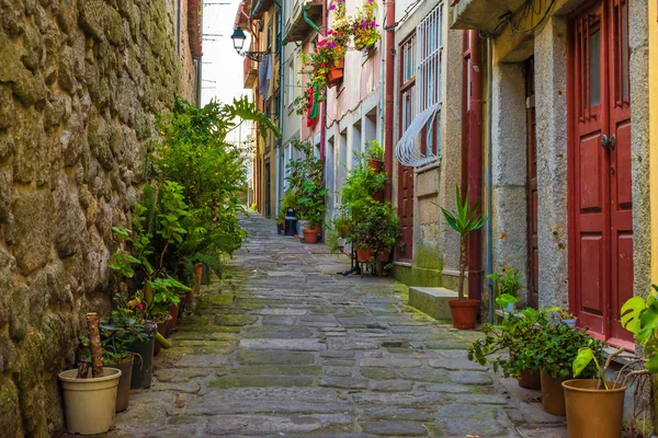 Old Cozy Street Historic Buildings Beautiful Town Porto Portugal Nobody — Stock Photo, Image