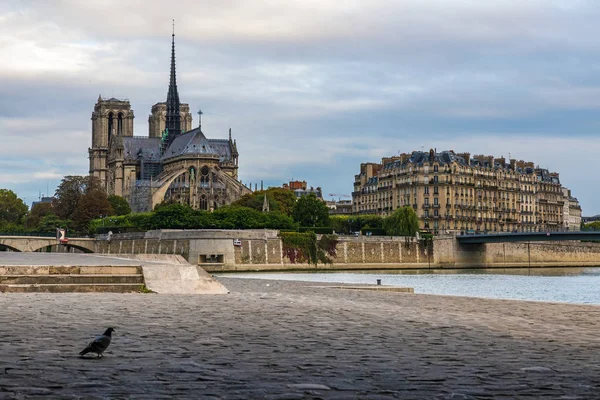 Notre Dame Paris Kathedraal Uitzicht Vanaf Bank Van Seine Paris — Stockfoto