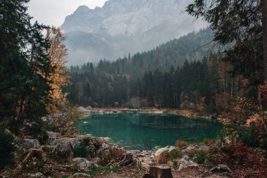 sabah bir sis, Almanya, Avrupa ile Bavyera Alpleri'nde zemin üzerine Dağları ile güzel göl