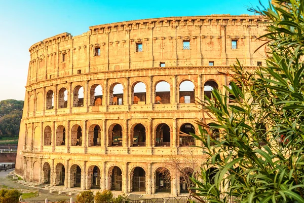 Utsikt över Colosseum i Rom, Italien i soluppgången — Stockfoto