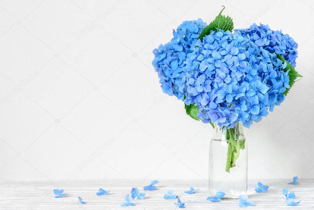 Still life with a beautiful bouquet of blue hydrangea flowers with water drops. holiday or wedding background