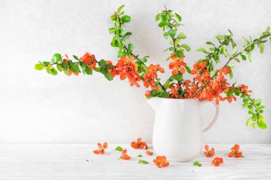 Kopya alanı ile beyaz ahşap masa üzerinde güzel bir turuncu japon ayva çiçekleri ile natürmort