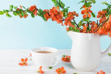 Kopya alanı ile mavi arka plan üzerinde güzel bir turuncu japon ayva çiçekleri ve çay fincan ile natürmort
