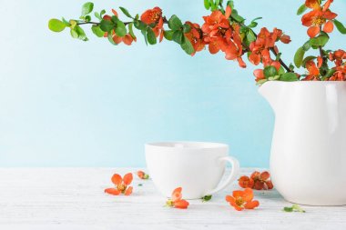 kopya alanı ile mavi ahşap arka plan üzerinde çay fincan ile bahar japon ayva çiçekleri. natürmort