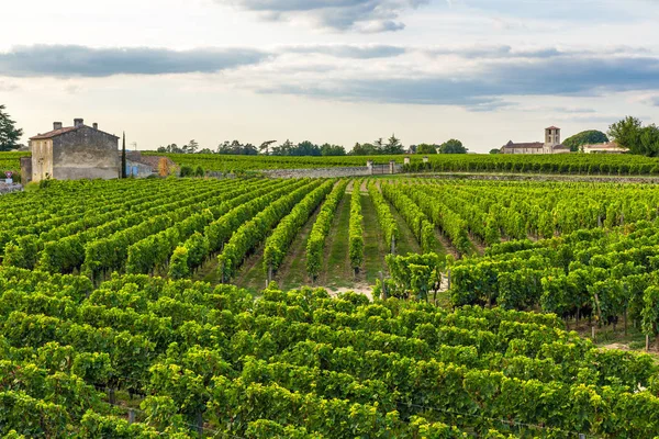 Wijngaarden van Bordeaux prachtige landschap van Saint Emilion wijngaard in Frankrijk — Stockfoto