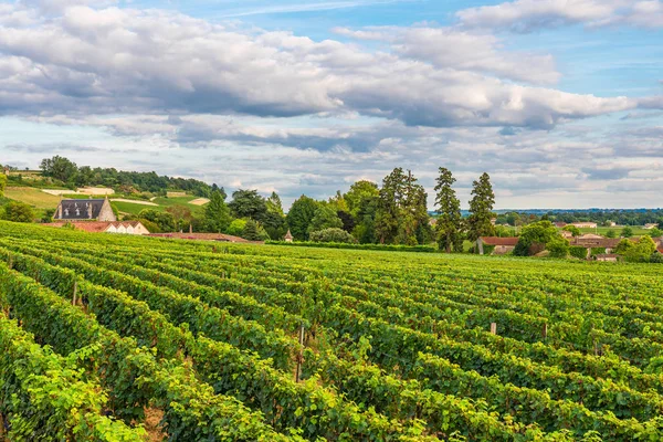 Prachtige wijngaard van Saint Emilion in Bordeaux, Frankrijk in Sunny Day — Stockfoto