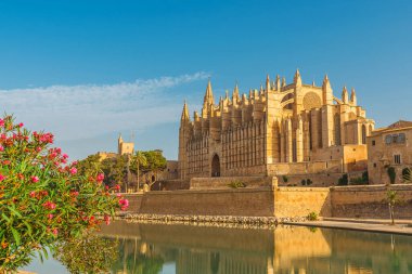Palma veya La Seu 'daki Santa Maria Katedrali' nin güzel manzarası güneşli bir günde Mallorca, Mayorka, İspanya 'da çiçeklerle dolu.
