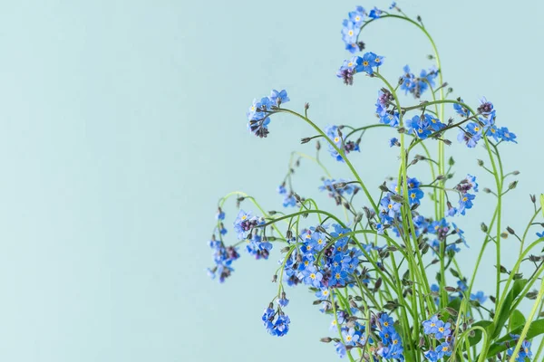 Vergeet Niet Bloemen Blauwe Achtergrond Met Kopieerruimte Lente Zomer Bloemen — Stockfoto