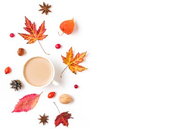 Sonbahar kompozisyonu, sonbahar yaprakları, çiçekler, fındıklar, beyaz arka planda izole edilmiş böğürtlenler. Düz konum, kopyalama alanı olan üst görünüm