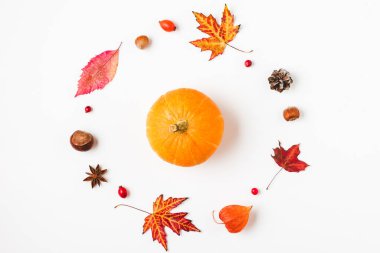 Sonbahar ya da Şükran Günü kompozisyonu. Sonbahar yapraklarından, çiçeklerden, balkabağından, beyaz arka planda böğürtlenlerden yapılmış balkabağı. Düz konum, kopyalama alanı olan üst görünüm