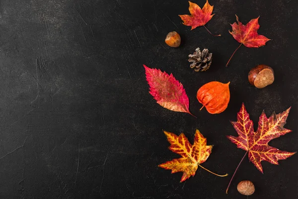 Autumn or thanksgiving background. Fall leaves, flowers and nuts on black background. Fall composition. Flat lay, top view with copy space