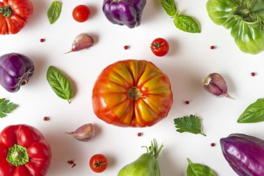 Domates, fesleğen, baharat, biber, sarımsak. Vejetaryen diyeti. Beyaz arka planda renkli organik domates çerçevesi. Üst Manzara. yemek konsepti
