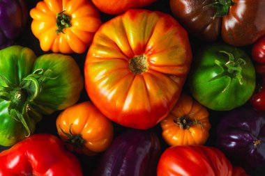Siyah zemin üzerinde renkli organik domatesler ve biber kompozisyonu. Üst Manzara. Düz yat. Vegan diyet yemek pişirme konsepti