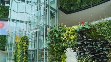 Kentsel mimari ortamda modern cam şelaleyi çevreleyen çeşitli bitkilerle yemyeşil bir dikey bahçe. Bangkok 'taki alışveriş merkezine entegre edilmiş yeşil tesisleri olan duvarlar.