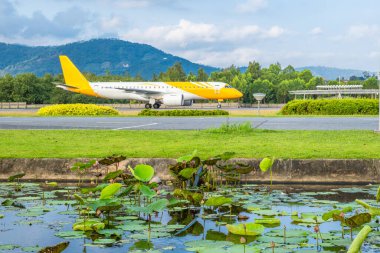 Samui havaalanında taksicilik yapan uçaklar, yemyeşil çevresi olan, önü nilüfer göleti olan ve arkasında dağlar olan Tayland. Uçak tropik adaya iniş yaptı. Doğa birlikte var.