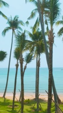 Tropical beach with golden sand, turquoise sea, palm trees with nobody, Phu Quoc island, Vietnam. Hon Thom beach. Summer vacation destination in Asia. Vertical orientation