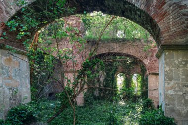 Overgrown interior of abandoned brick building with vaulted arches and lush greenery. Haunted ruined house covered with green plants. Post apocalyptic, nature reclaiming, romantic ruin concept.