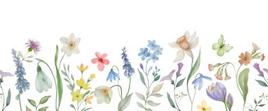 Kusursuz suluboya sınırı. El çizimi çiçek çizimi beyaz arka planda izole edilmiş. Vektör EPS.