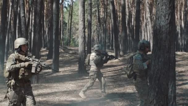 Escuadrón caminando en formación a través de un bosque de pinos — Vídeos de Stock