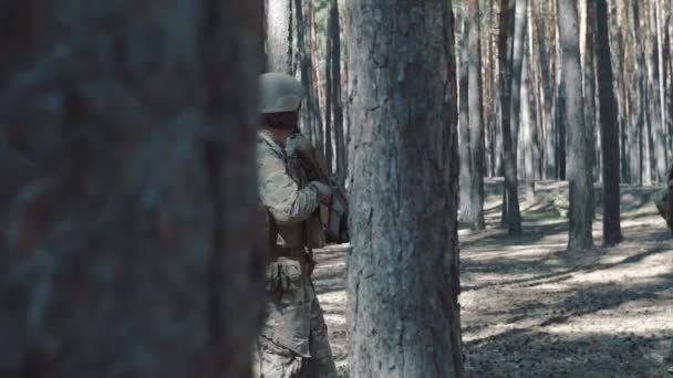 Escadron marchant en formation à travers une forêt de pins — Video