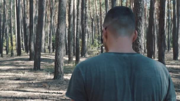 Ağır Çekimde Ormandaki Adam Yürüyüş — Stok video