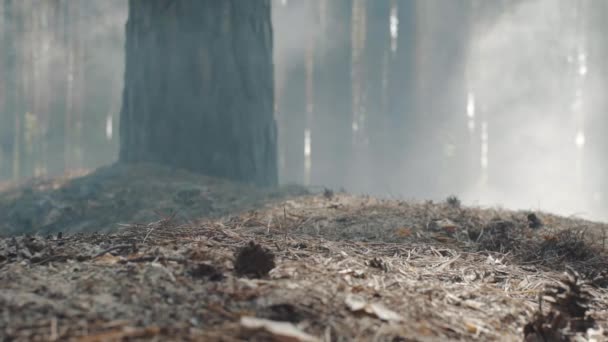 Close-up tiro de uma bota soldados correndo na floresta fumegante — Vídeo de Stock