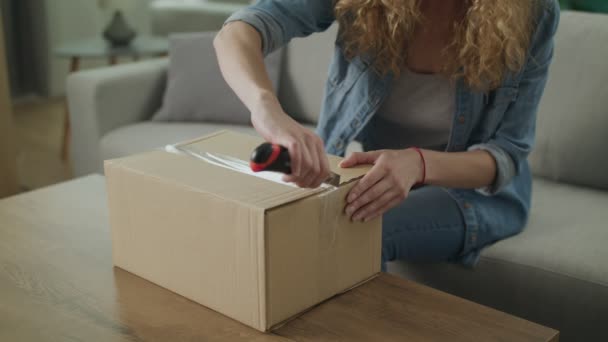 Uma jovem abre um pacote de papelão no sofá em sua sala de estar — Vídeo de Stock