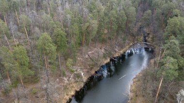 vahşi doğa, gölü olan orman ve bulutlu sakin bir günde düşen ağaçlar, ya da daha doğrusu devlet, seyahat ve turizm, mistisizm ve gizemli alan, bitki örtüsü ve fauna, manzara, temiz hava