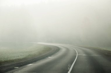 Eylül ayında sabah sis. Manzara. Tarla, yol ve orman.
