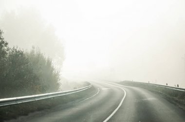 Eylül ayında sabah sis. Manzara. Tarla, yol ve orman.