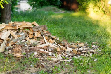 Orman yakınındaki yeşil bir çim enşada huş ağacı dağı