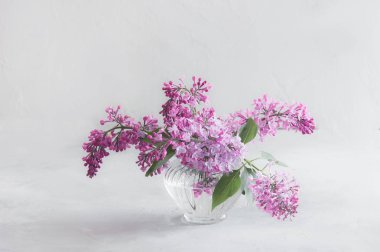 cam vazolar yemyeşil taze mor leylak buketleri.