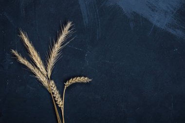 Mısır gevreği kulakları. Buğday ve çavdar kulakları. Yukarıdan görüntüle