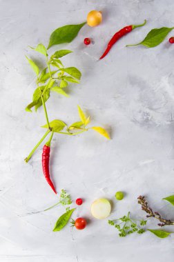 Sebze ve sebze. Domates, biber, fesleğen, baharat, gri arka planda böğürtlen