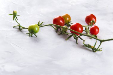 Sebze ve sebze. Domates, biber, fesleğen, baharat, gri arka planda böğürtlen