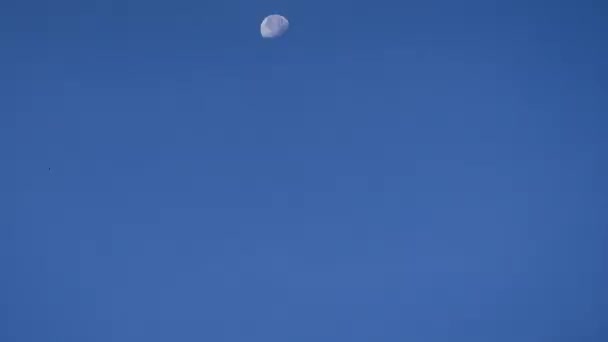 Fullmåne Tid Förfaller Med Blå Himmel Bakgrunden — Stockvideo