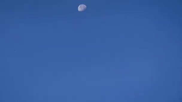 Luna Llena Lapso Tiempo Con Cielo Azul Fondo Del Suelo — Vídeos de Stock