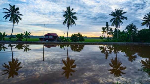 Piękny Wschód Słońca Nad Wsią Refleksją Sekinchan Malezja Czas Upływa — Wideo stockowe