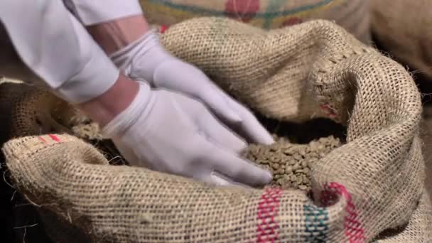 Green coffee roasting falls — Stock Video